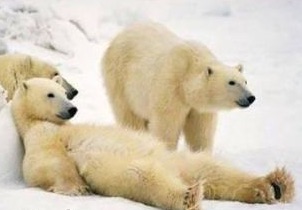 Chillen ohne Pillen